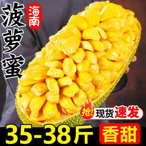 菠萝蜜产地直发35-38斤整箱包邮