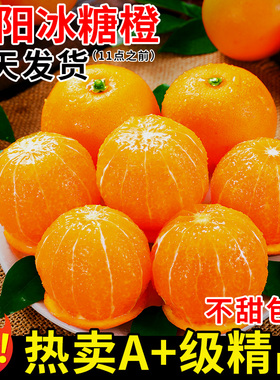 正宗湖南麻阳冰糖橙新鲜橙子水果10斤当季手剥甜橙果冻橙整箱包邮