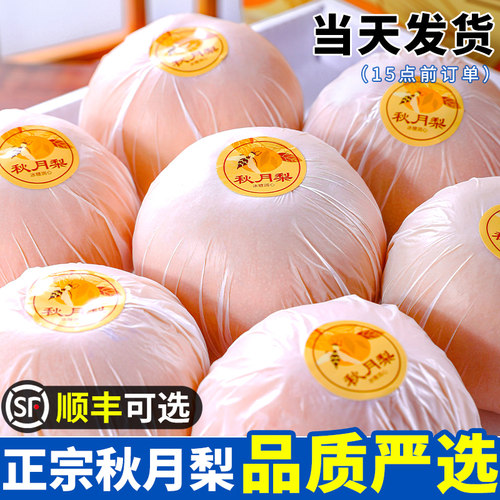 官方正品|正宗脆甜冰糖秋月梨