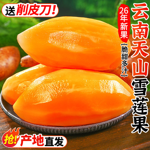 天山雪莲果，2026新果，脆甜多汁