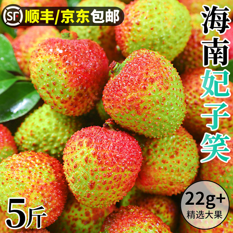 【现货!顺丰京东】海南妃子笑荔枝新鲜水果当季整箱现摘荔枝包邮