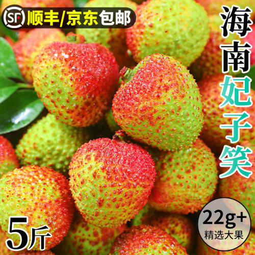妃子笑荔枝丨顺丰京东丨颗颗香甜