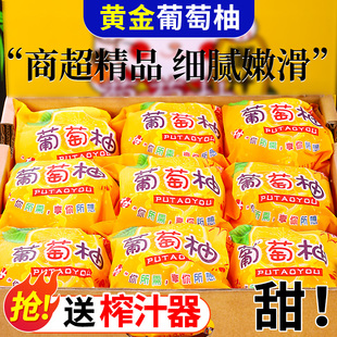 爆汁柚子福建黄金葡萄柚新鲜水果当季黄心蜜柚文甜西柚整箱旦包邮