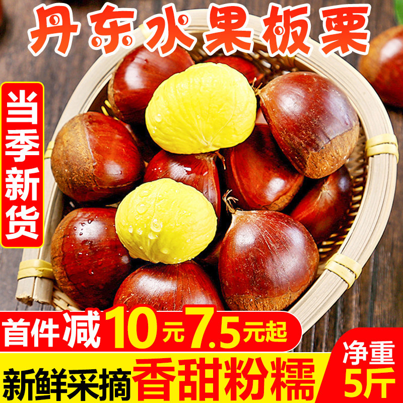 丹东新鲜水果板栗5斤现摘当季生栗子红栗锥栗去毛球嫩栗蔬菜包邮