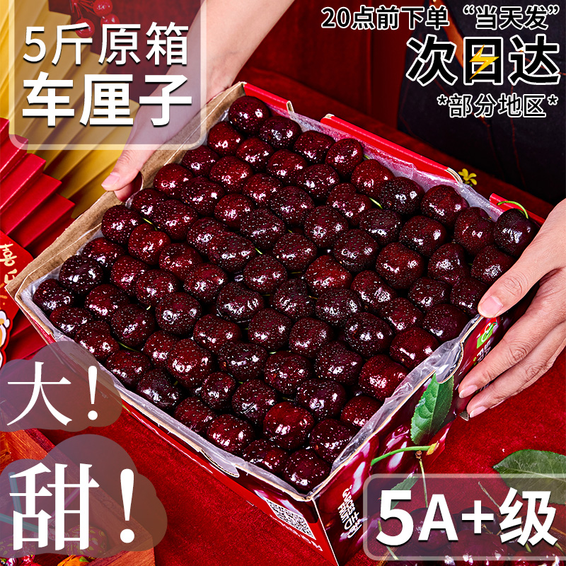 【次日达】智利车厘子5斤5j礼盒