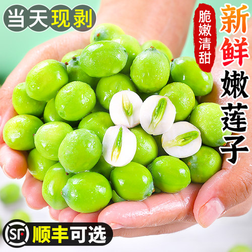精挑6-9成熟嫩莲子，可带芯生吃