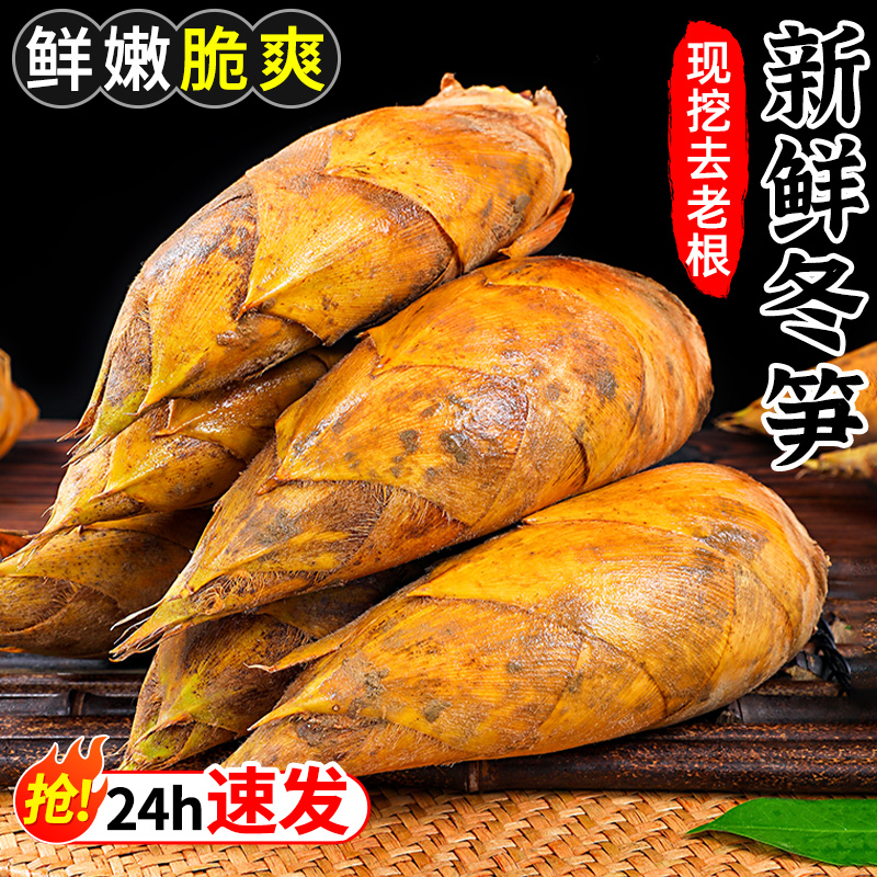 新鲜冬笋现挖竹笋5斤当季蔬菜苦笋雷笋腌笃鲜毛笋春甜笋整箱包邮5