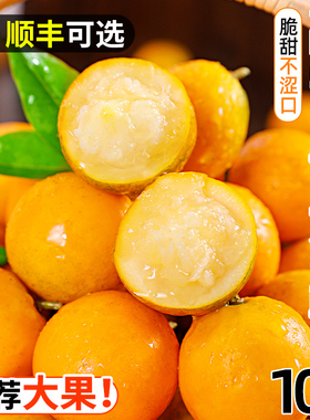 融安脆皮金桔10斤广西小橘子蜜金柑新鲜纯甜当季水果孕妇整箱包邮