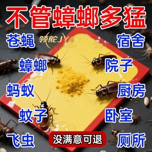 蟑螂贴克星家用蟑螂粘板蟑螂贴厨房餐厅室内强效无毒蟑螂药灭蚁药