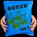 爬墙固定器藤蔓固定器其它园艺用品 绿萝蔷薇月季 免打孔不伤墙