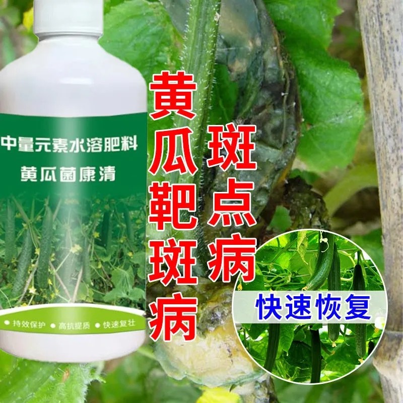 黄瓜专用病菌清黄瓜病害专用菌剂霜霉病炭疽病黄瓜靶斑专用叶面肥,鲜花速递/花卉仿真/绿植园艺,家庭园艺肥料,淘宝优惠券,粉丝福利购,淘宝优惠卷