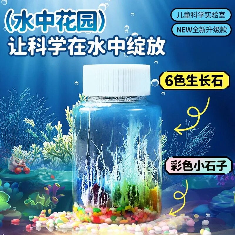 水中花园小学生科学实验生长石