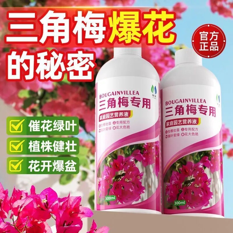 三角梅营养液促绿花专治黄叶