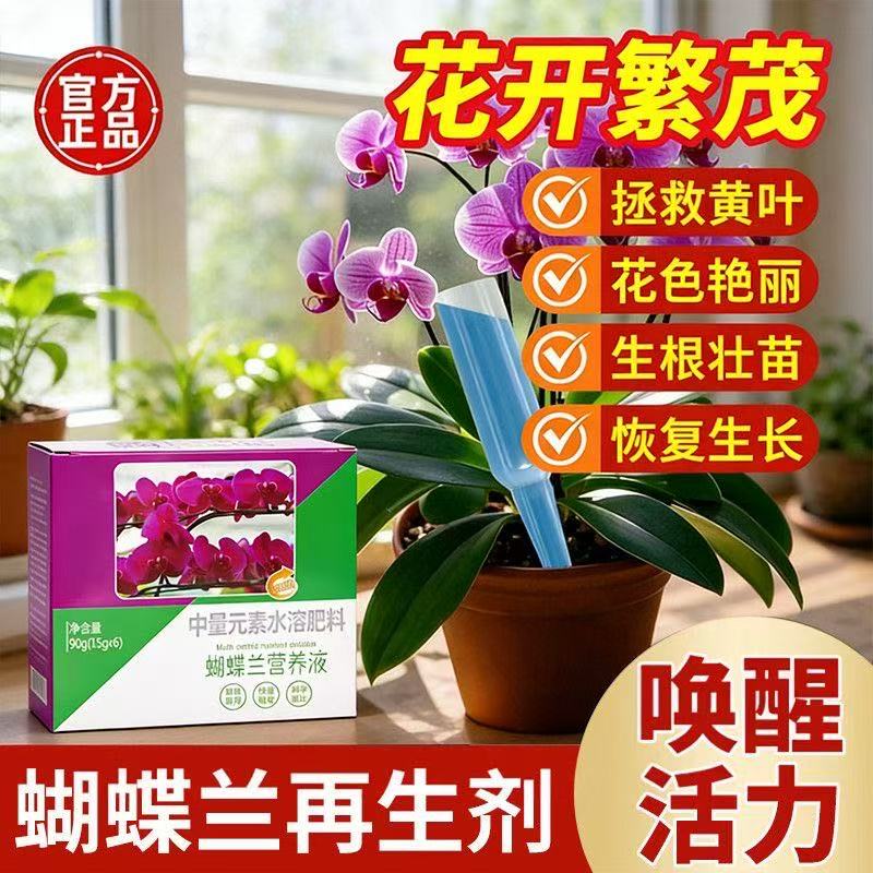 蝴蝶兰专用营养液促花生根壮苗