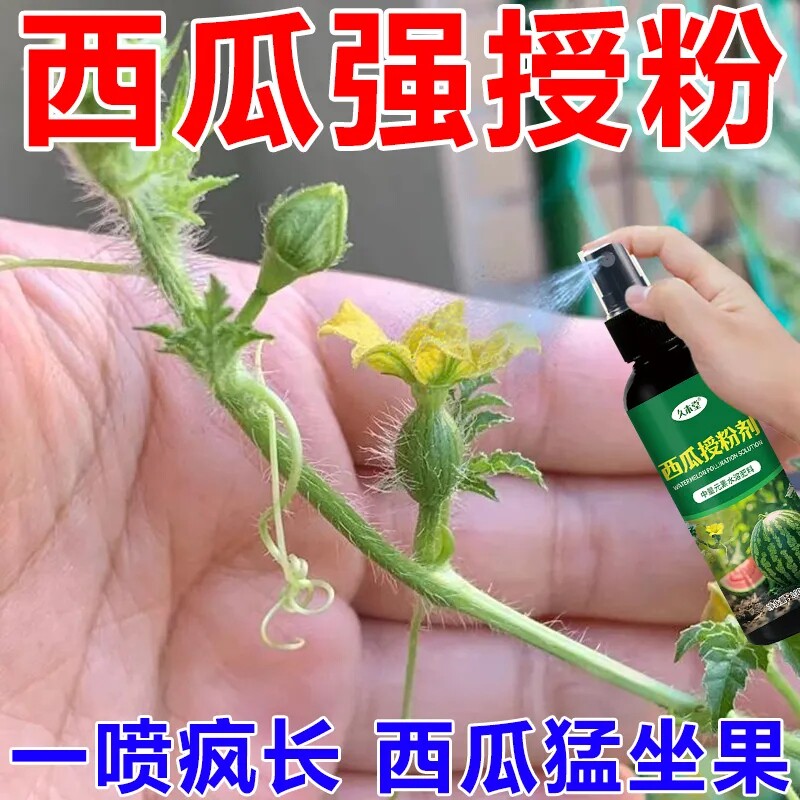 西瓜授粉剂点花免沾花授粉坐果精保花保果素肥料防畸营养液叶面肥