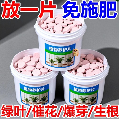 植物养护片氮磷钾缓释家用盆栽