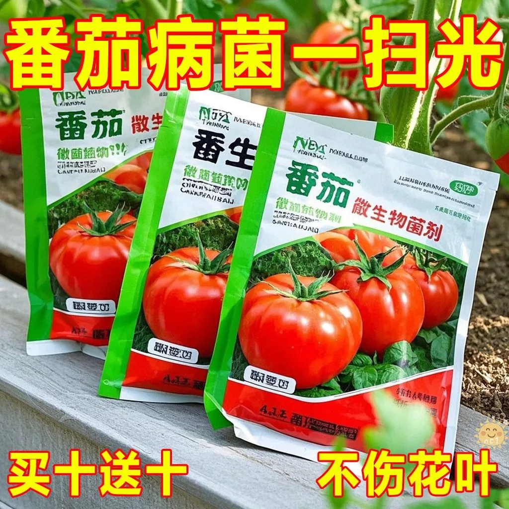 番茄病菌清西红柿专用