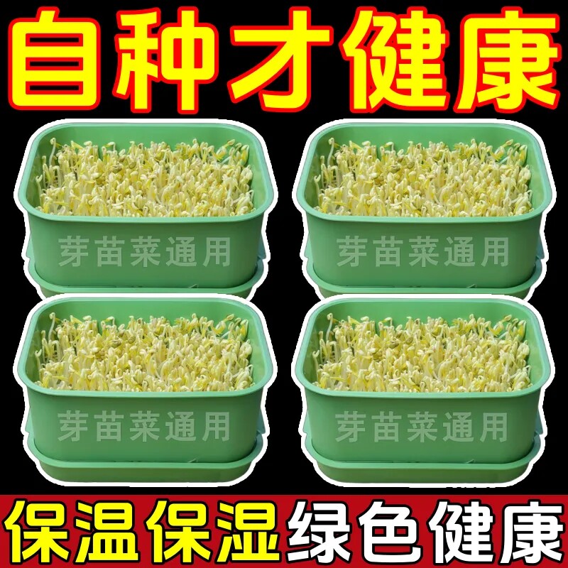 【小白也能成功】家用发豆芽神器超大芽盆生种植神器食品级材质