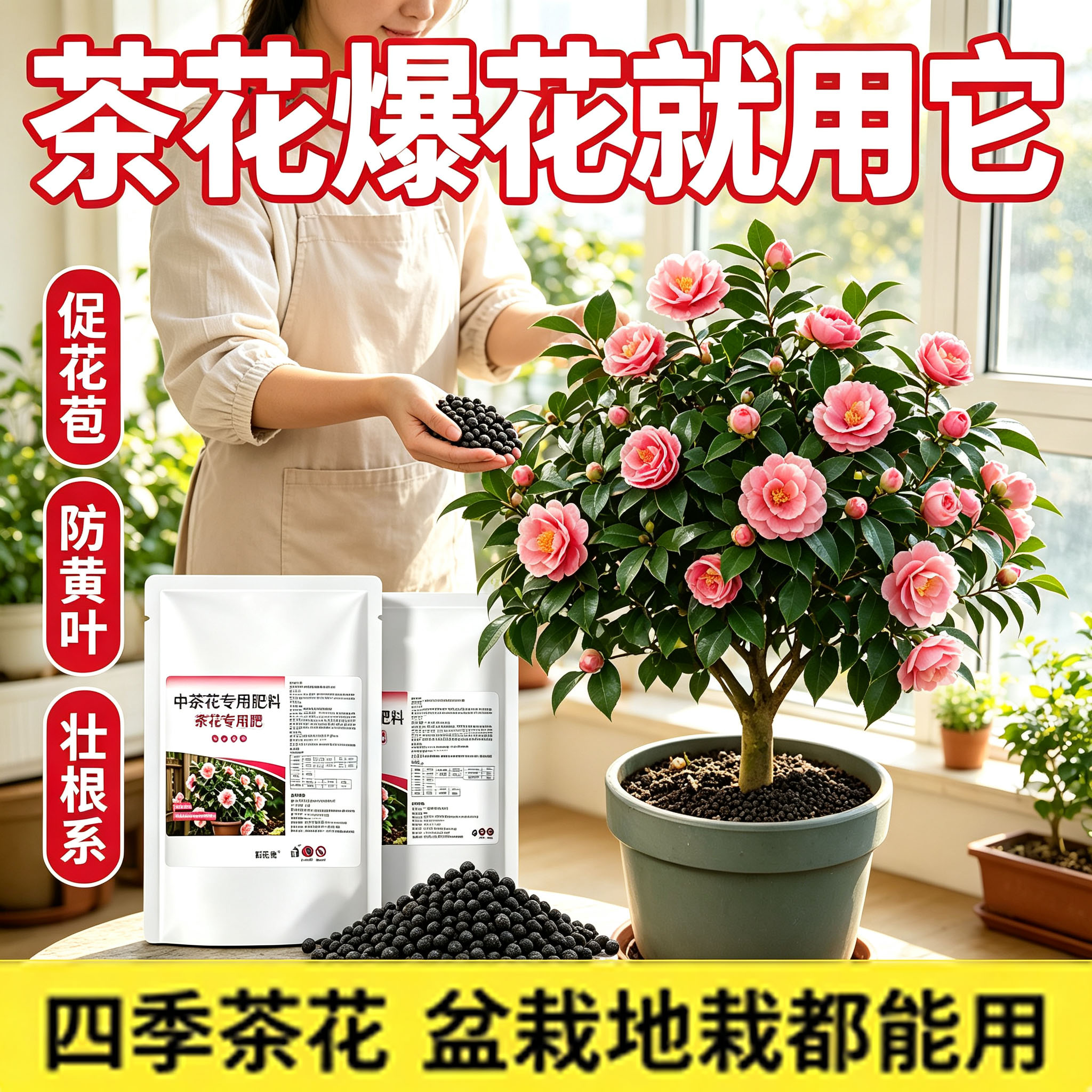 茶花专用花防黄叶防落蕾肥料
