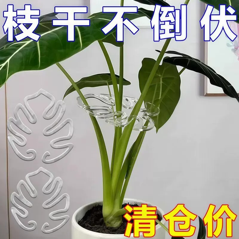 塑料免安装防倒伏龟背竹支撑杆