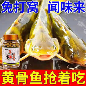 新款黄辣丁专用羊油颗粒饵料户外垂钓昂公昂刺黄颡鱼水库诱钓一体