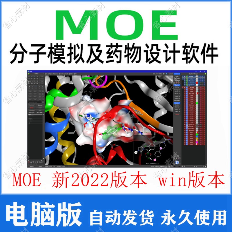 MOE软件2022版 Molecular Operating 分子模拟药物设计 安装教程 商务/设计服务 设计素材/源文件 原图主图