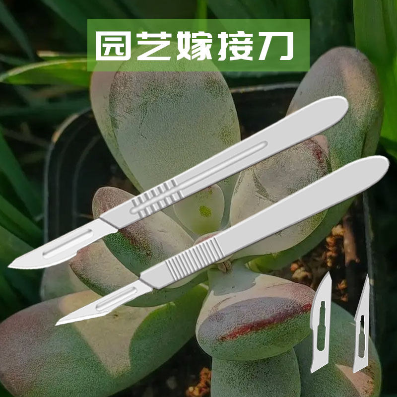 多肉砍头刀水仙雕刻刀蟹爪兰仙人球扦插芽接嫁接专用刀园艺嫁接刀