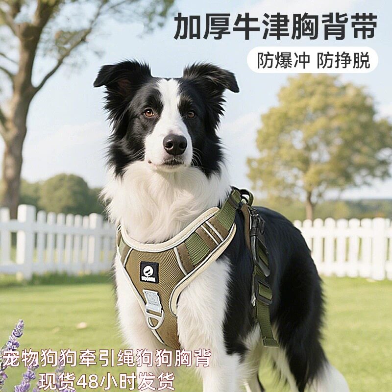 背心式狗胸背防爆冲带夏季柯基中大型金毛遛狗绳狗链子狗狗牵引绳