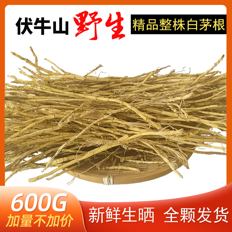 伏牛山茅草根长条纯干600g