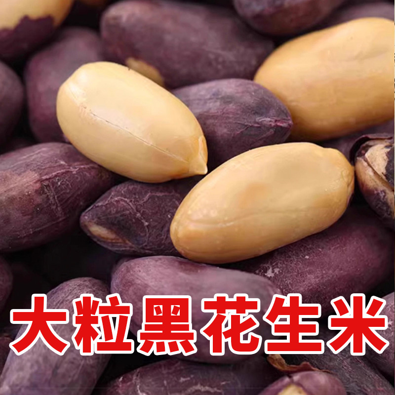 新货【五香味黑花生米】大颗粒下酒菜独立小包装山东烤熟紫皮花生