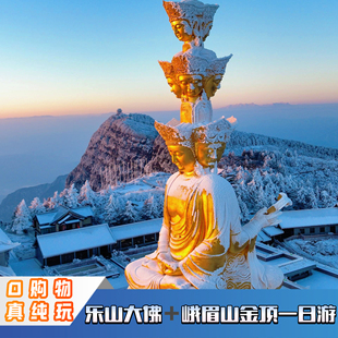 成都出发峨眉山乐山大佛黄龙溪纯玩20人小团VIP2-8人一日游跟团游
