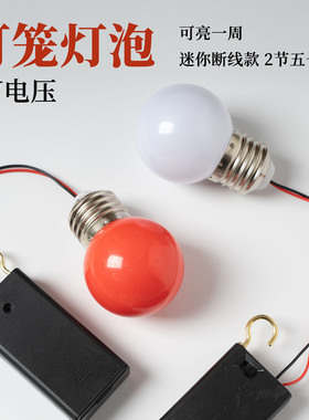 3VLED电池灯泡大红灯笼白光暖光花灯春节装饰灯节日挂钩开关灯泡