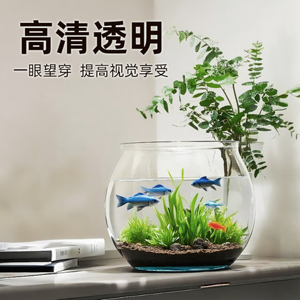 鱼缸水族箱桌面生态金鱼缸塑料高透客厅造景中小型饲养缸造景用品