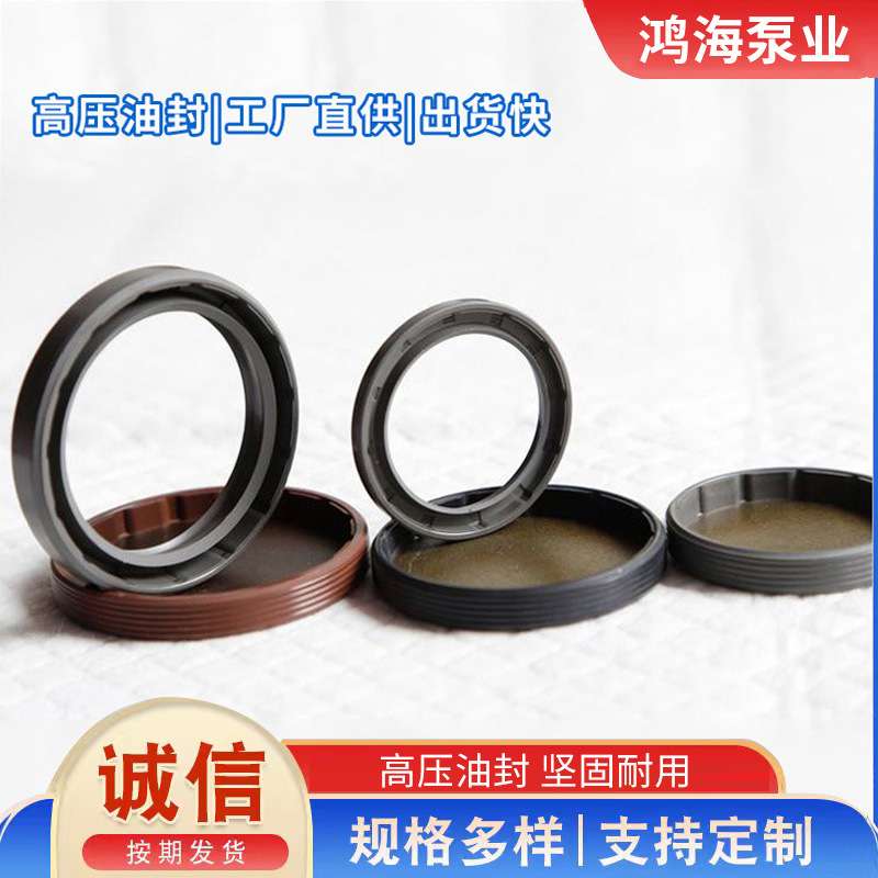 耐高温高压液压支架齿轮泵密封圈油泵密封机械骨架油封机械密封件
