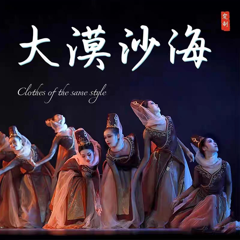 定制大漠沙海上海戏剧学院民族舞蹈服 中国舞剧目同款舞蹈演出服