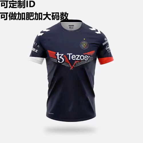VITALITY小蜜蜂队服2024定制CSGO周边短袖男T恤电竞比赛服装ZYWOO