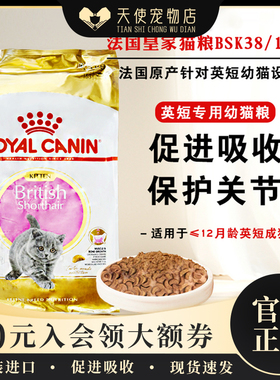 法国原产进口皇家BSK38英短/美短/折耳/英国短毛幼猫粮金银渐层