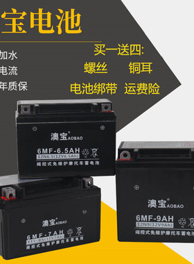 摩托车电瓶12V9a男装轻骑12v7a女装车踏板车125助力车免维护电池