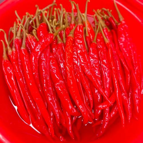 湖南土特产自制辣子下饭菜辣椒酱