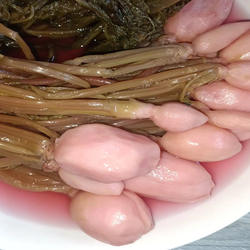 湖南省湘西土家族特色农家下饭菜招把菜农村萝卜酸 水酸菜 开胃菜