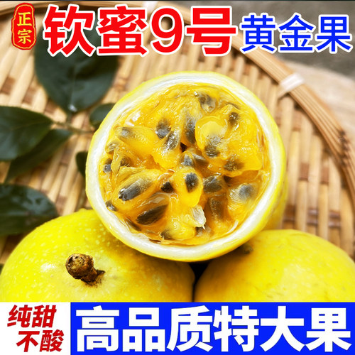 钦蜜9号黄金百香果特大果现摘