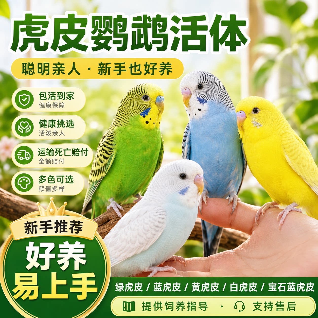 鹦鹉活鸟活物虎皮鹦鹉会学说话的鸟类宠物鸟云斑小型家养小鸟活体