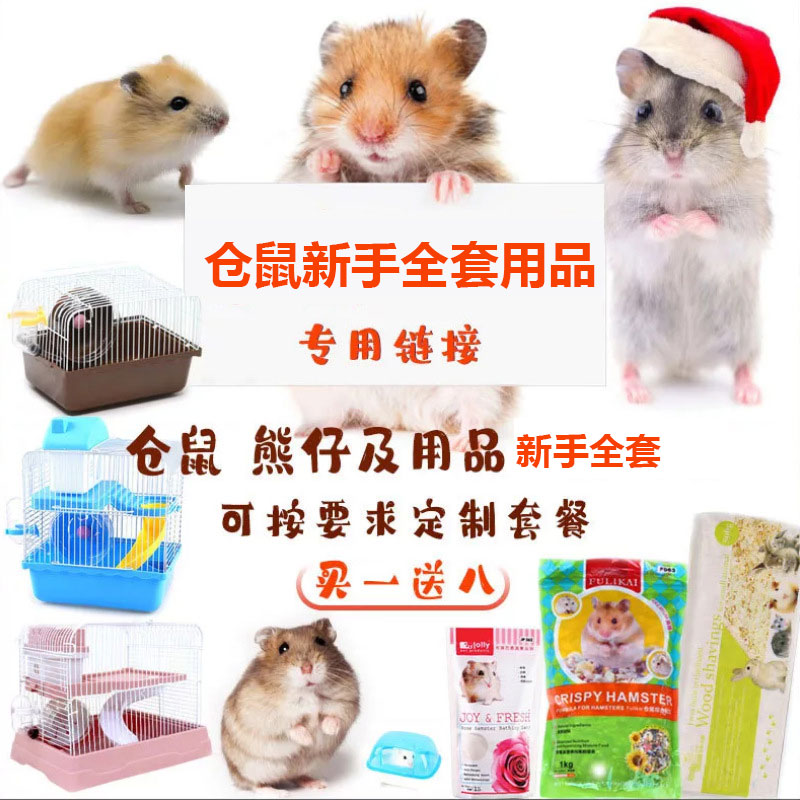仓鼠金丝熊米熊白熊睡鼠紫仓三线银狐布丁金丝熊用品新手套餐集合