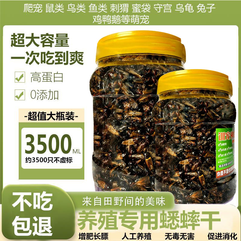 高蛋白宠物零食蟋蟀干爬宠蜥蜴守宫鸟龟通用天然无添加养殖场直发,宠物/宠物食品及用品,爬虫/鸣虫食物,淘宝优惠券,粉丝福利购,淘宝优惠卷