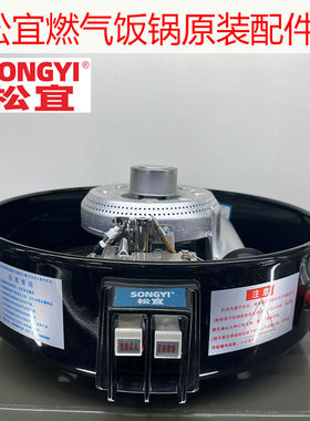 煤气电饭锅配件锅胆炉头打火器