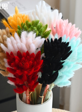 花心思永生花兔尾草花束diy材料真花干花手工插花装饰花艺资材