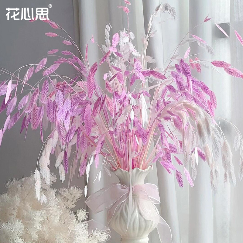 花心思永生花小盼草仙女风花束diy材料真花干花插花配饰花艺资材
