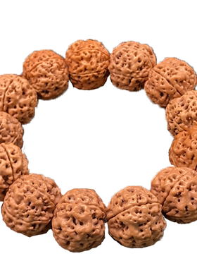 金诗文玩尼泊尔五星大金刚菩提子