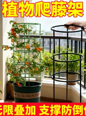 植物支架通用型花架拼接园艺兰花莲花花架子支撑杆防倒伏爬藤架子