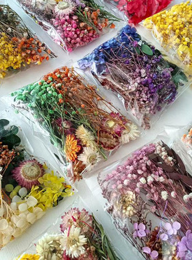 永生花干花材料包DIY相框贴画团扇浮游 团建活动儿童花艺课花材包